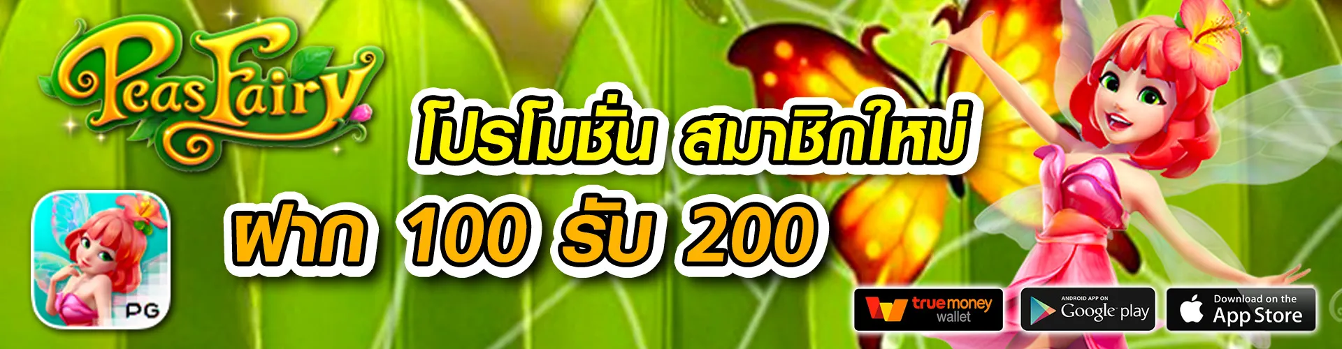 อโพโล่pg